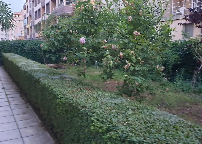 Park *